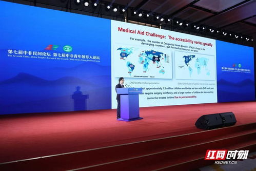 中國(guó)企業(yè)與非洲大陸這樣牽手——中非經(jīng)貿(mào)合作與企業(yè)社會(huì)責(zé)任平行論壇側(cè)記