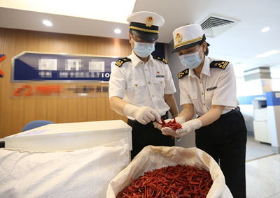 中非經(jīng)貿(mào)博覽會(huì) 合作成果豐碩，攜手共譜發(fā)展新篇